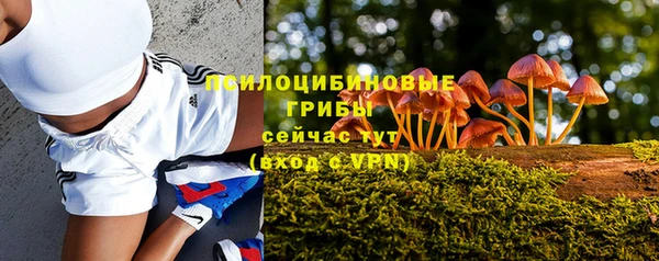 Альфа ПВП Куйбышев